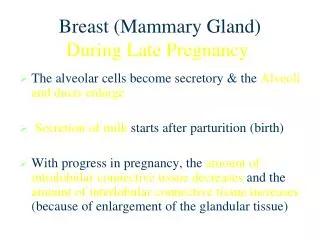 Breast (Mammary Gland) During Late Pregnancy