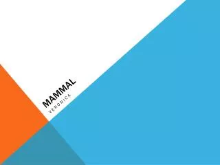 mammal
