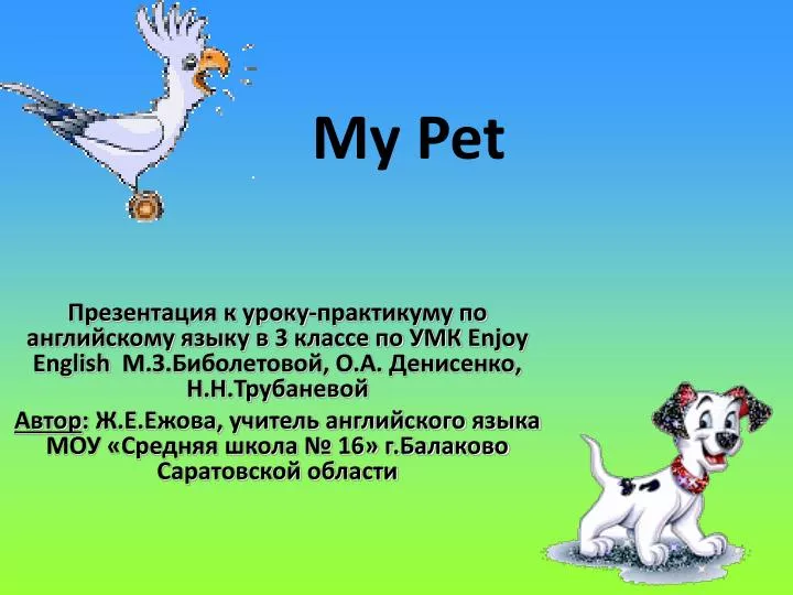 my pet
