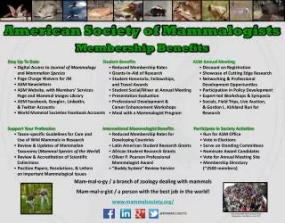 Stay Up To Date Digital Access to Journal of Mammalogy and Mammalian Species