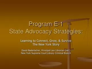 Program E-1 State Advocacy Strategies: