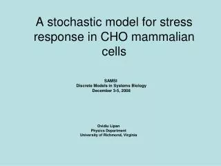 A stochastic model for stress response in CHO mammalian cells