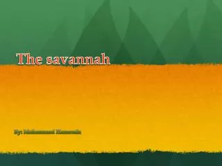 The savannah