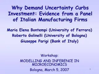 Why Demand Uncertainty Curbs Investment: Evidence from a Panel of Italian Manufacturing Firms