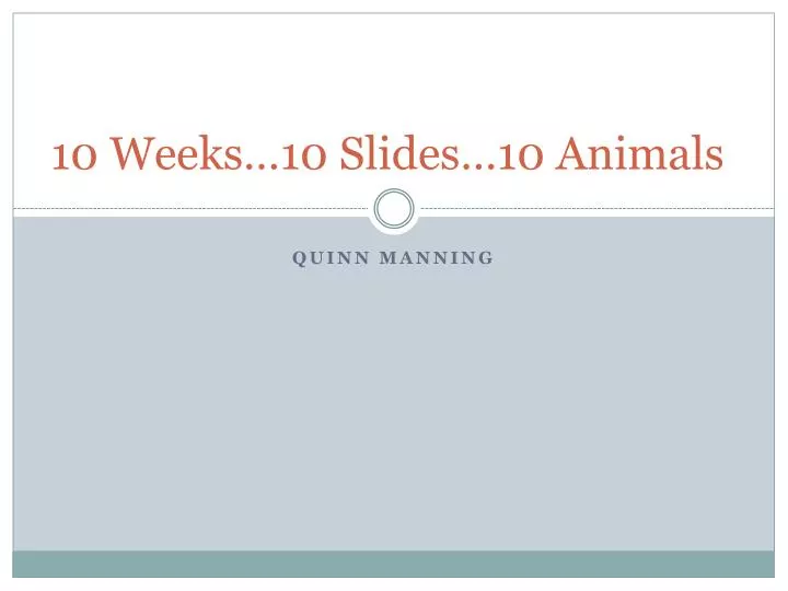 10 weeks 10 slides 10 animals
