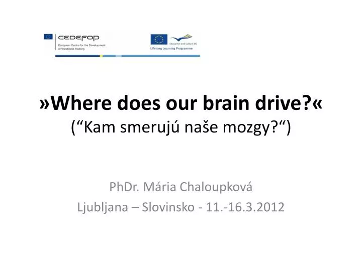where does our brain drive kam smeruj na e mozgy