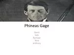 Phineas Gage - slide 1