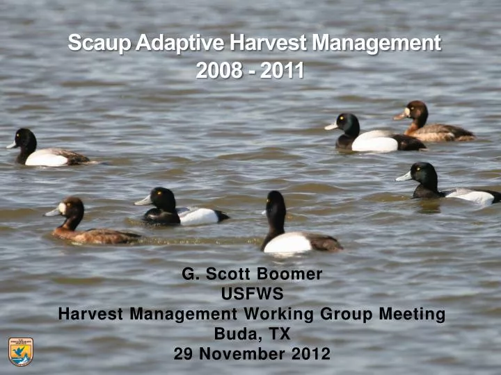 scaup adaptive harvest management 2008 2011