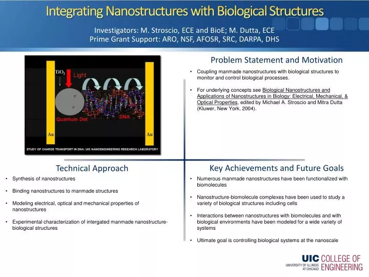 integrating nanostructures with biological structures