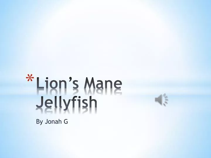 lion s mane jellyfish