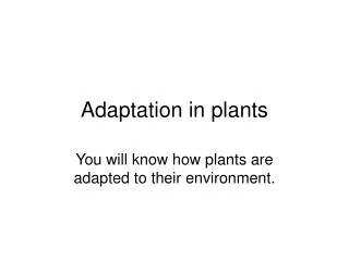 adaptation in plants