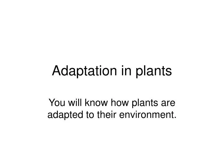adaptation in plants