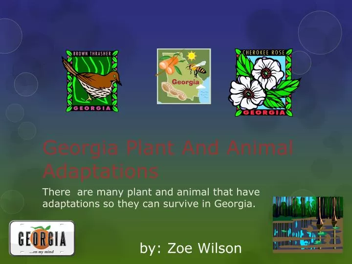 georgia plant and animal adaptations