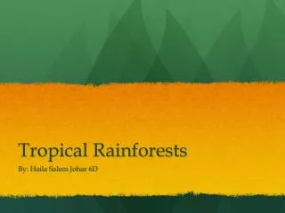 tropical rainforests