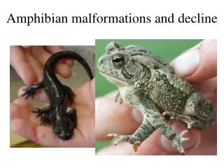 Amphibian malformations and decline