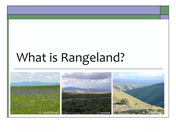 what is rangeland