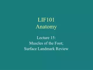 LIF101 Anatomy