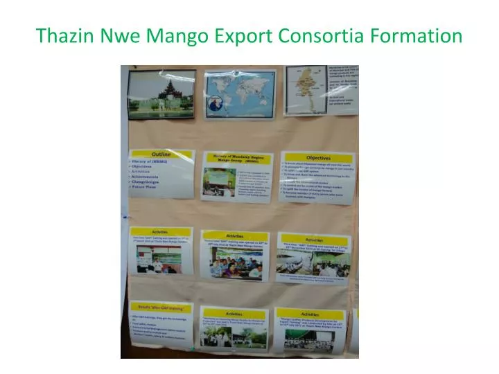 thazin nwe mango export consortia formation