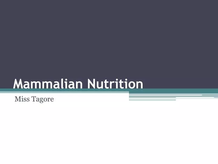 mammalian nutrition