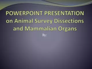 powerpoint presentation on animal survey dissections and mammalian organs
