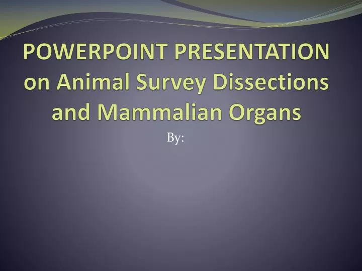 powerpoint presentation on animal survey dissections and mammalian organs