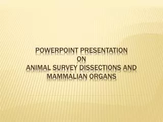 POWERPOINT PRESENTATION on Animal Survey Dissections and Mammalian Organs
