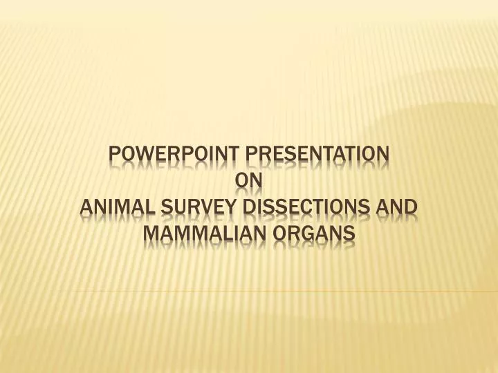 powerpoint presentation on animal survey dissections and mammalian organs