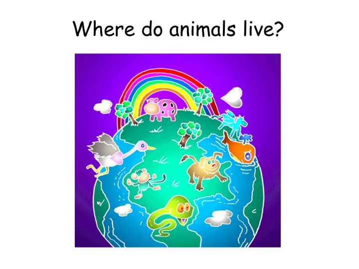 where do animals live