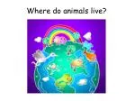 Where do animals live? - slide 1