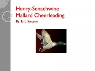 Henry- Senachwine Mallard Cheerleading