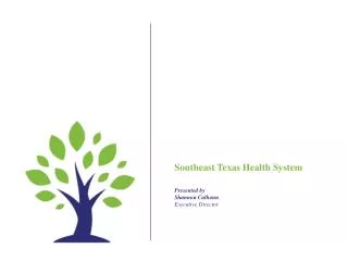 Southeast Texas Health System P resented by Shannon Calhoun Executive Director