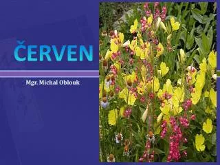 erven