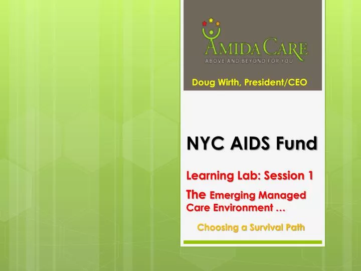 nyc aids fund learning lab session 1 the emerging managed care environment choosing a survival path