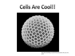 Cells Are Cool!!