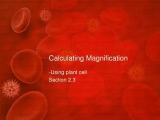 calculating magnification