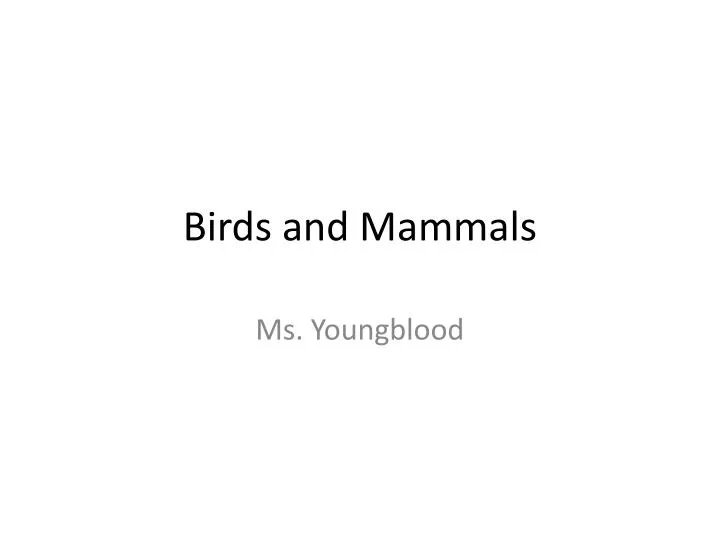 birds and mammals