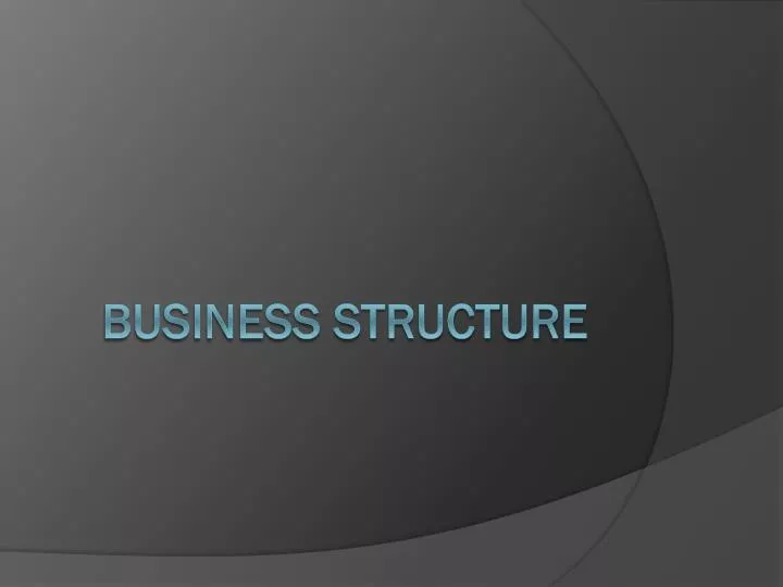 business structure