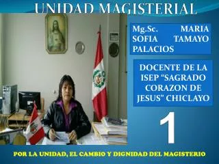 unidad magisterial