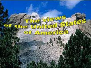 The views of the United States of America