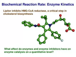Biochemical Reaction Rate: Enzyme Kinetics