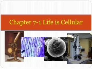 Chapter 7-1 Life is Cellular
