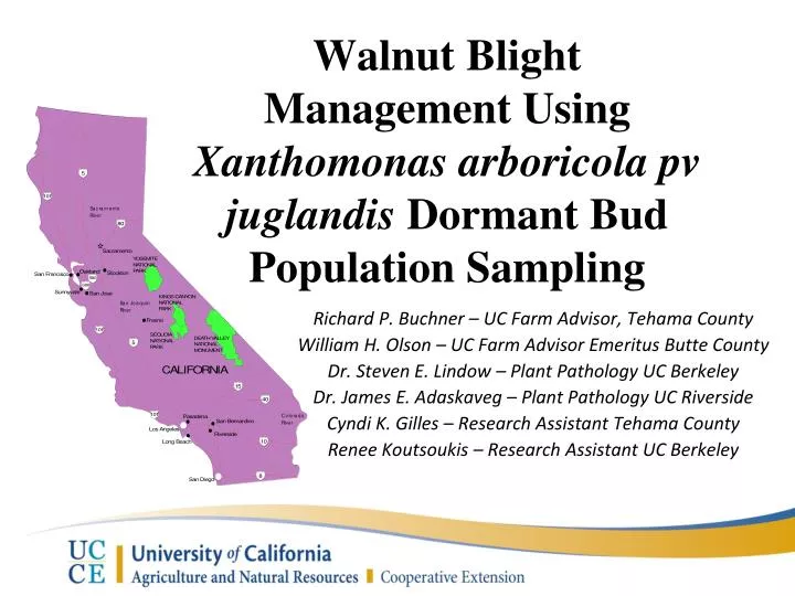 walnut blight management using xanthomonas arboricola pv juglandis dormant bud population sampling