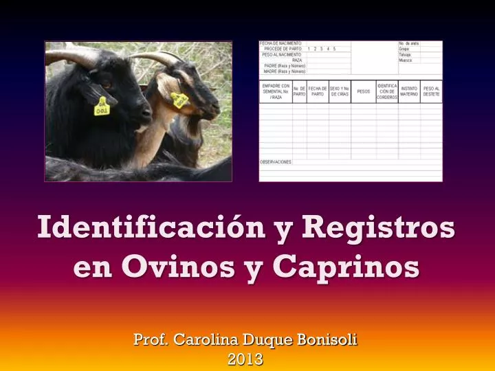 identificaci n y registros en ovinos y caprinos