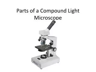 parts of a compound light microscope