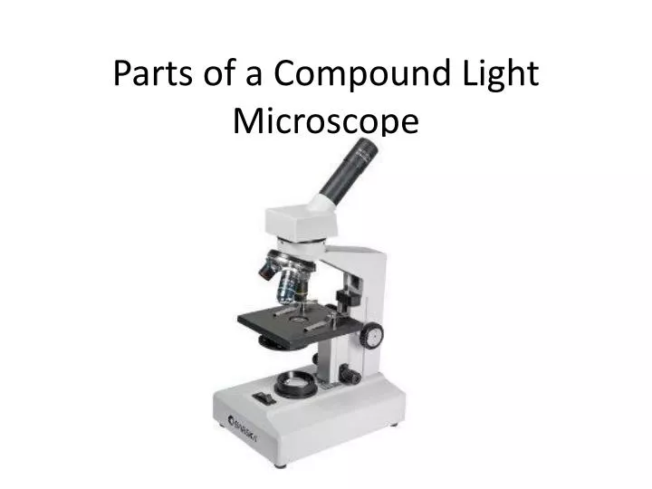 parts of a compound light microscope