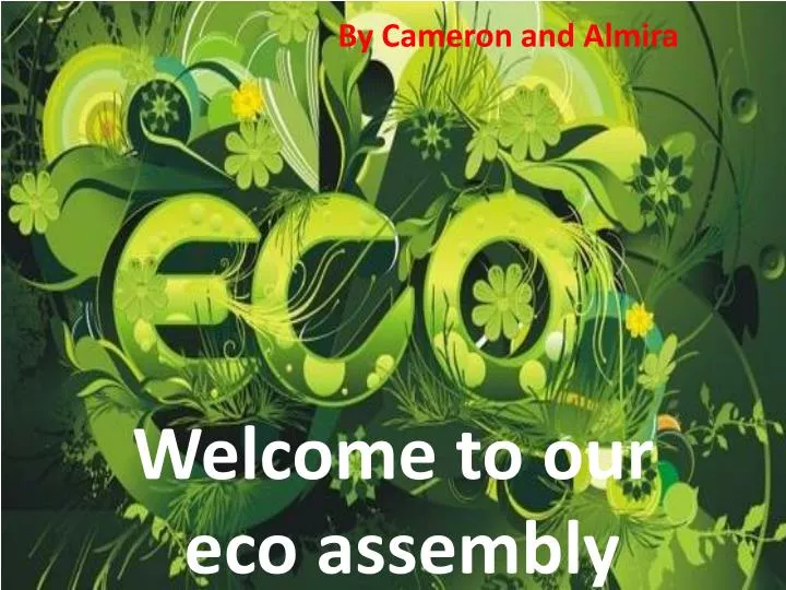 welcome to our eco assembly