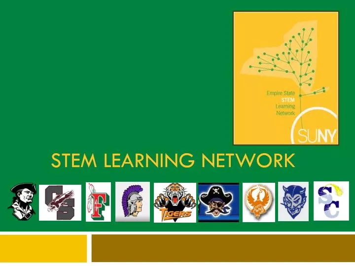 stem learning network