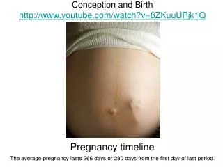 Conception and Birth youtube/watch?v=8ZKuuUPjk1Q