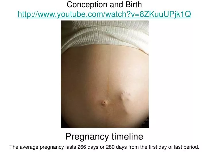 conception and birth http www youtube com watch v 8zkuuupjk1q