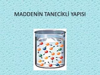 madden n tanec kl yapisi
